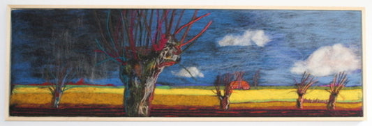 Koolzaadveld met knotwilgen